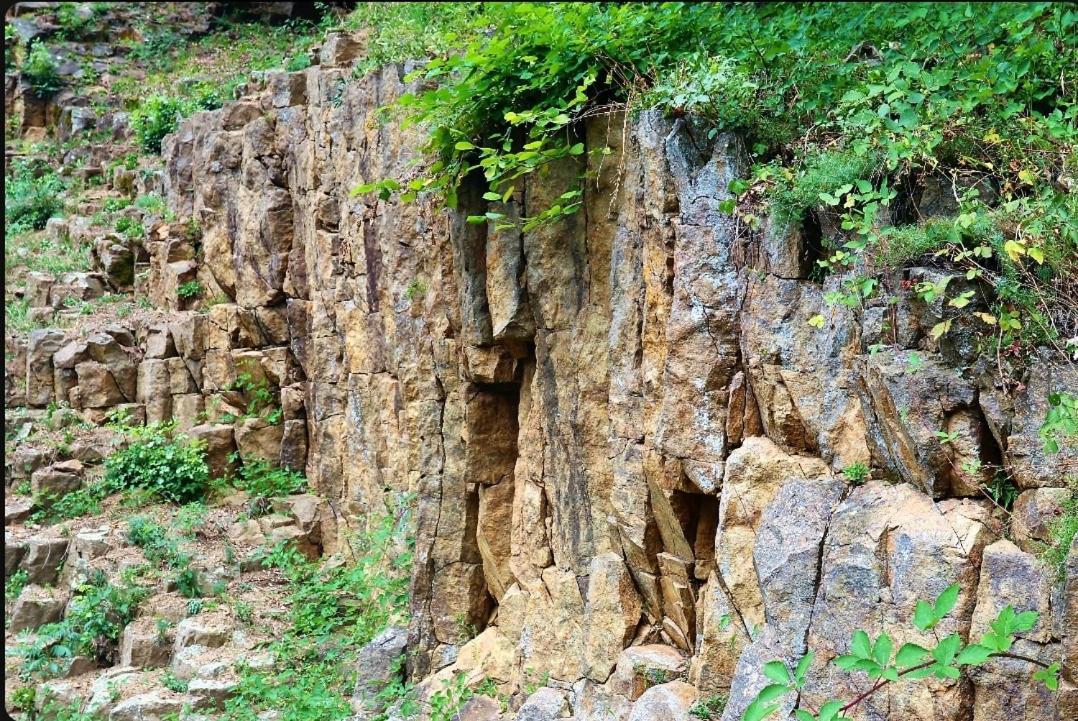Villa Papuk Vocin Екстер'єр фото